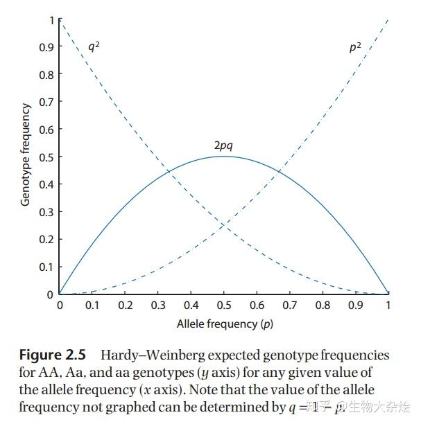 哈代故居探访记