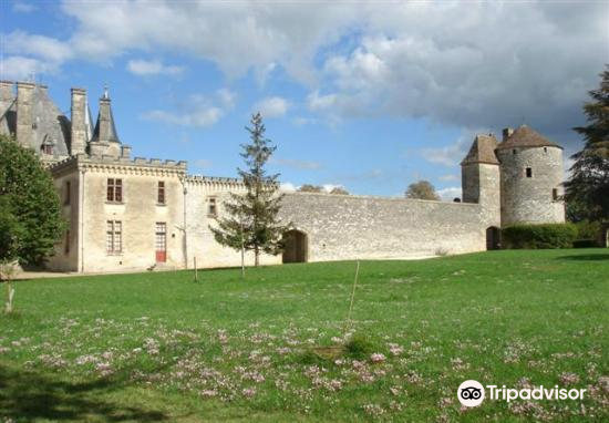 ST尔雅录得13天9板