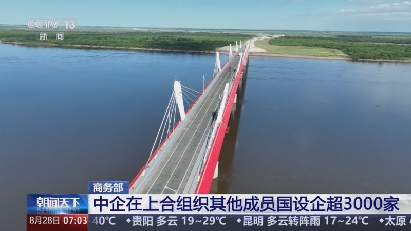 上合组织成员国元首首次专门就共同支持多边贸易体制单独发表声明 商务部有关负责人解读