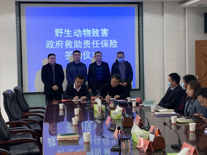 人保车险,人保有温度_复写纸行业现状与发展趋势分析2025