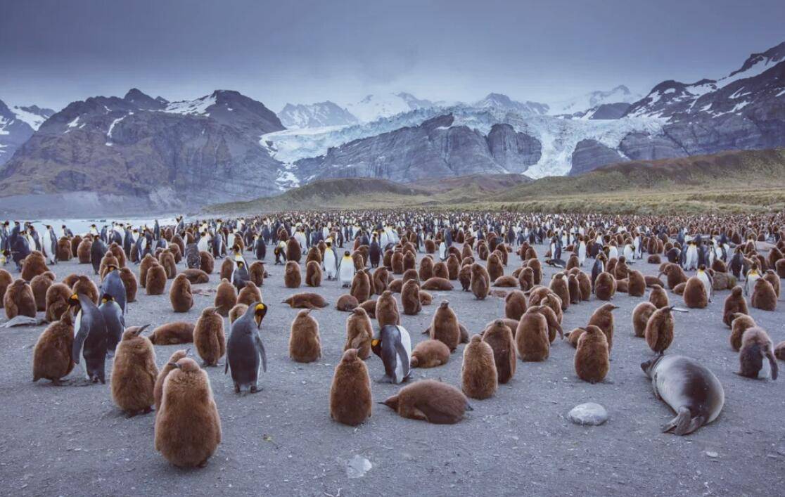 世界最大冰山解体