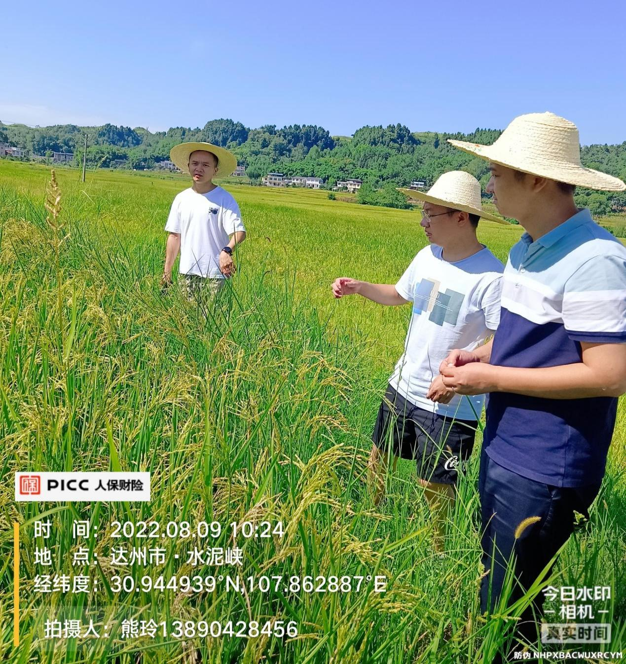 外卖餐饮行业现状洞察与发展趋势研判_人保财险政银保 ,人保有温度
