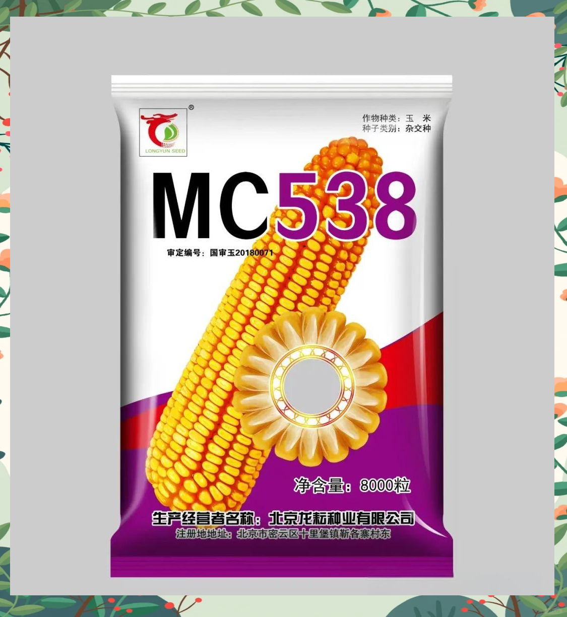 2025中国玉米深加工行业：短期波动与长期机遇并存_保险有温度,人保财险 