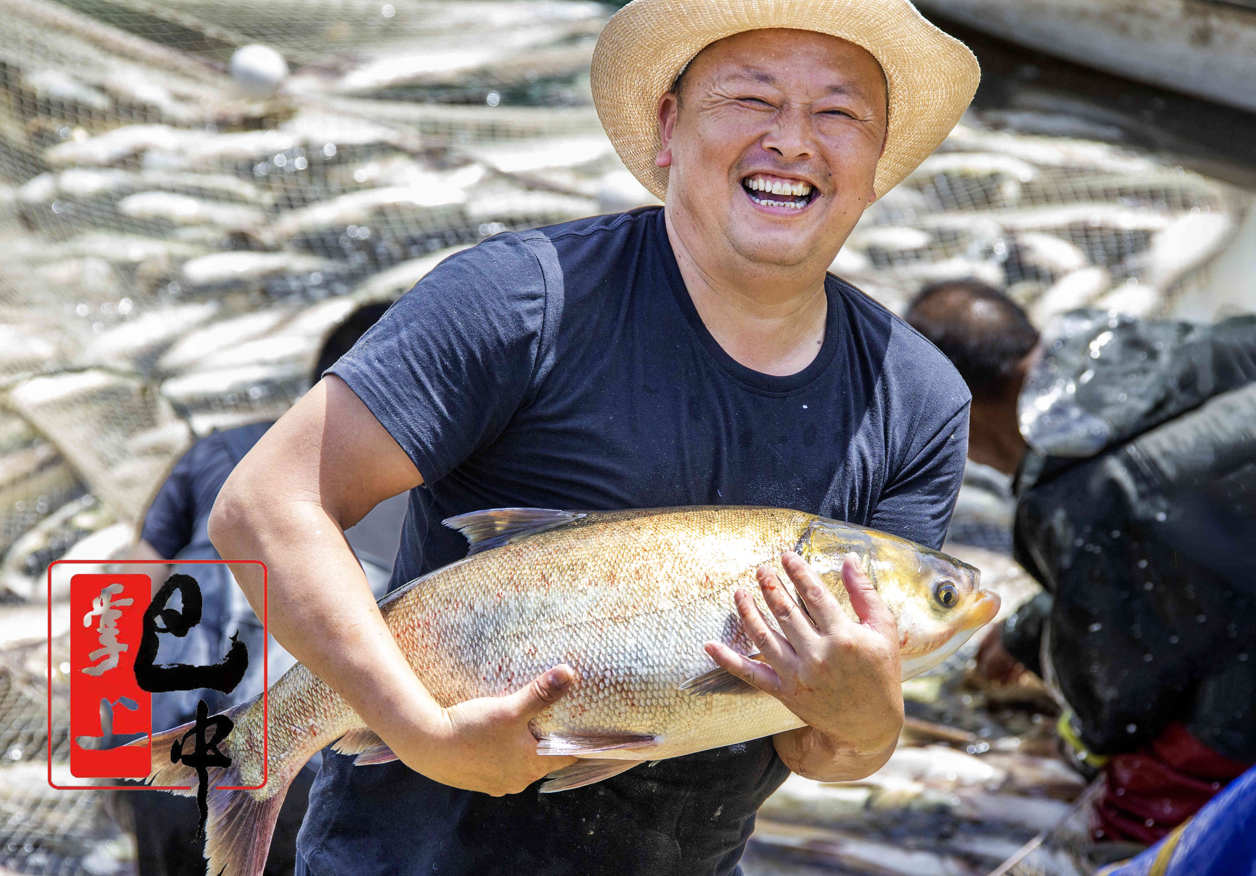 江西新余：秋捕张网鱼满仓 鱼跃人欢喜丰收