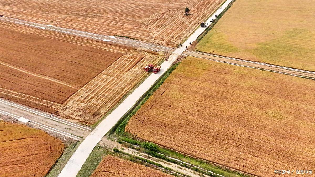 农业农村部：稳妥有序推进二轮延包试点、农村集体“三资”管理突出问题专项整治等农村改革事项落实