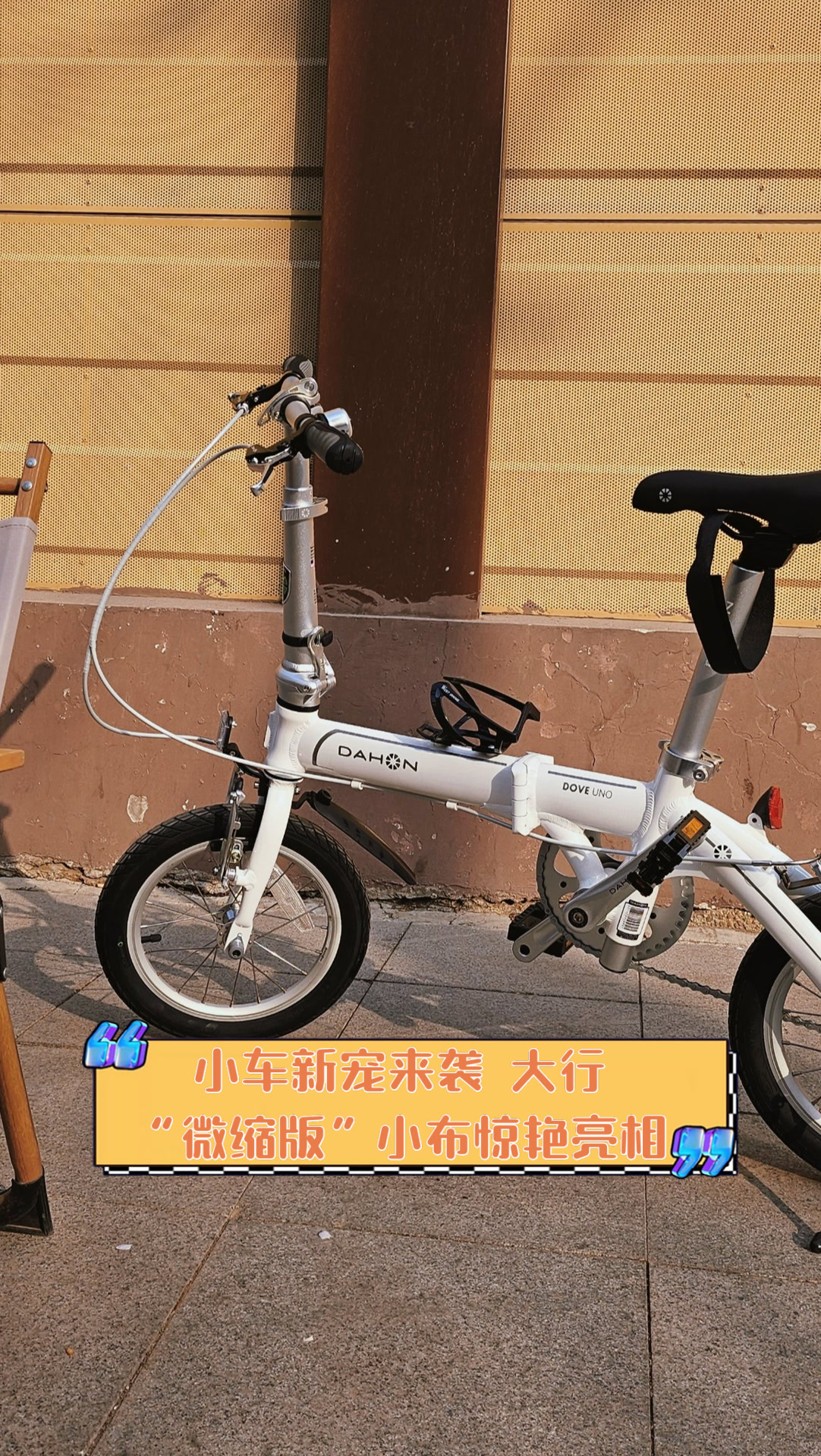 “小布平替”大行上市，折叠车赛道藏着五个趋势