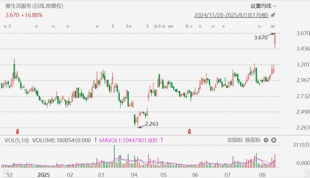 盈趣科技成交额创2024年12月20日以来新高