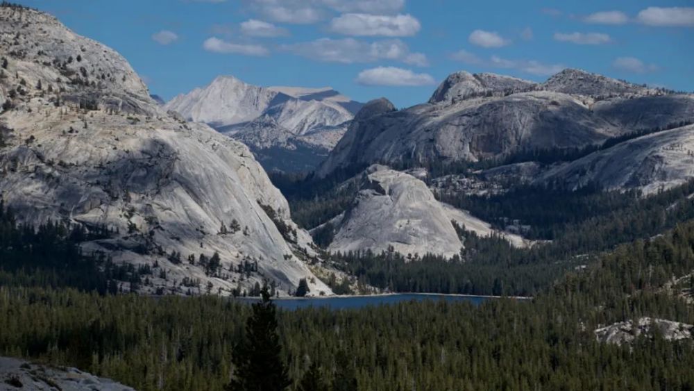 “内卷外溢” 科技巨头外卖战火燃到巴西