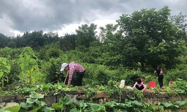 罗 牛 山：公司名下土地未发生重大变化