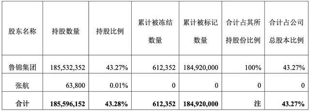 红豆股份控股股东再陷司法风险