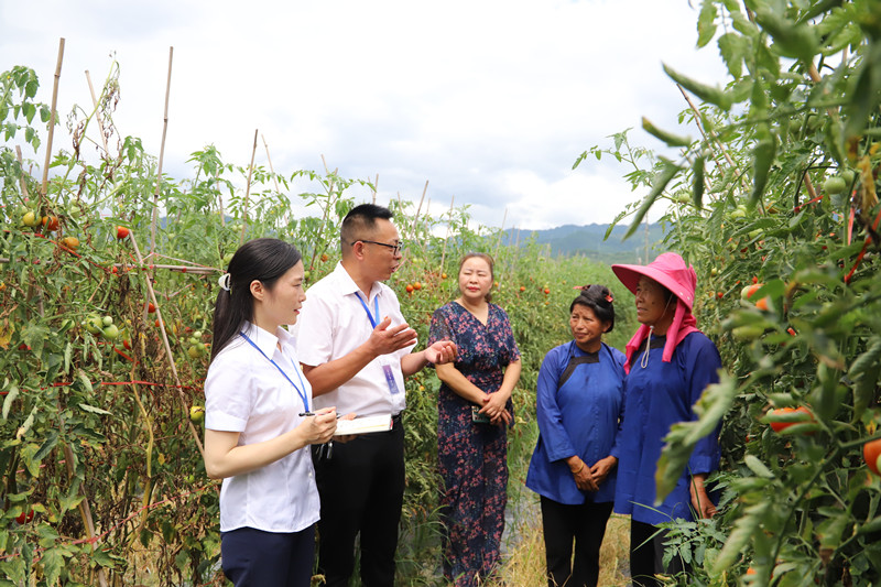 投资建厂遭强行接管？贵州遵义：提级调查！