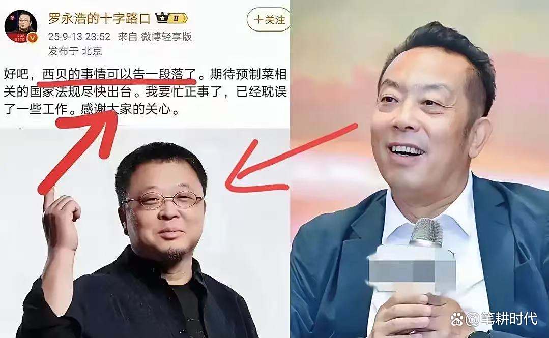 罗永浩一记重拳，打疼了华与华：6000万咨询费，到底咨询了啥？