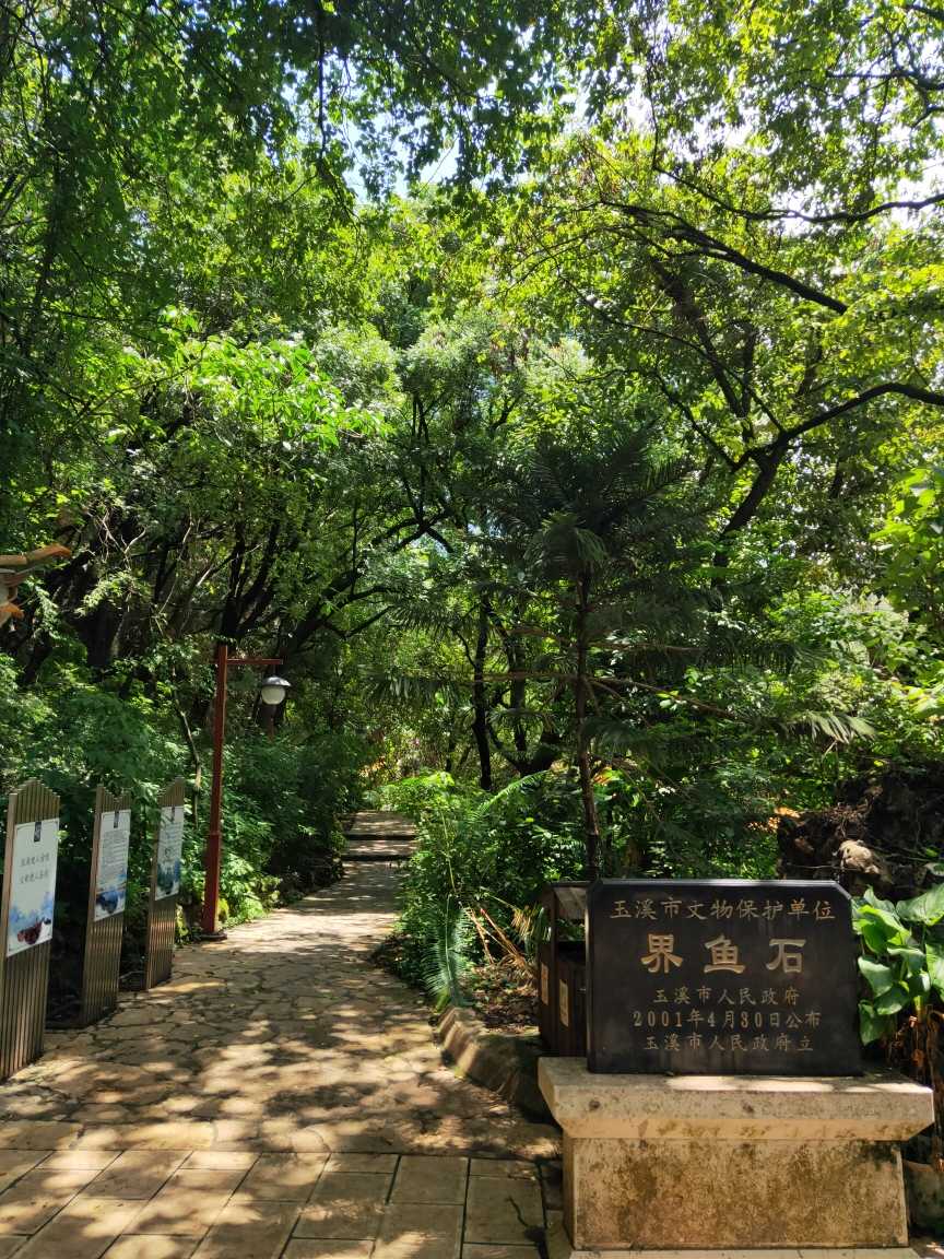 云南抚仙湖发现淡水螺1新属8新种