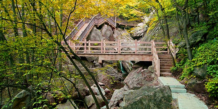 河南桐柏：生态优先“绣”出锦绣淮源新画卷