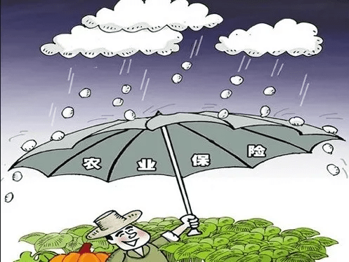 保险有温度,人保有温度_煤电行业现状与发展趋势分析
