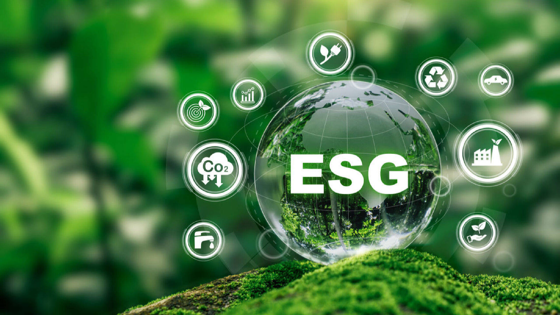 【ESG动态】上海洗霸（603200.SH）获华证指数ESG最新评级CC，行业排名第118