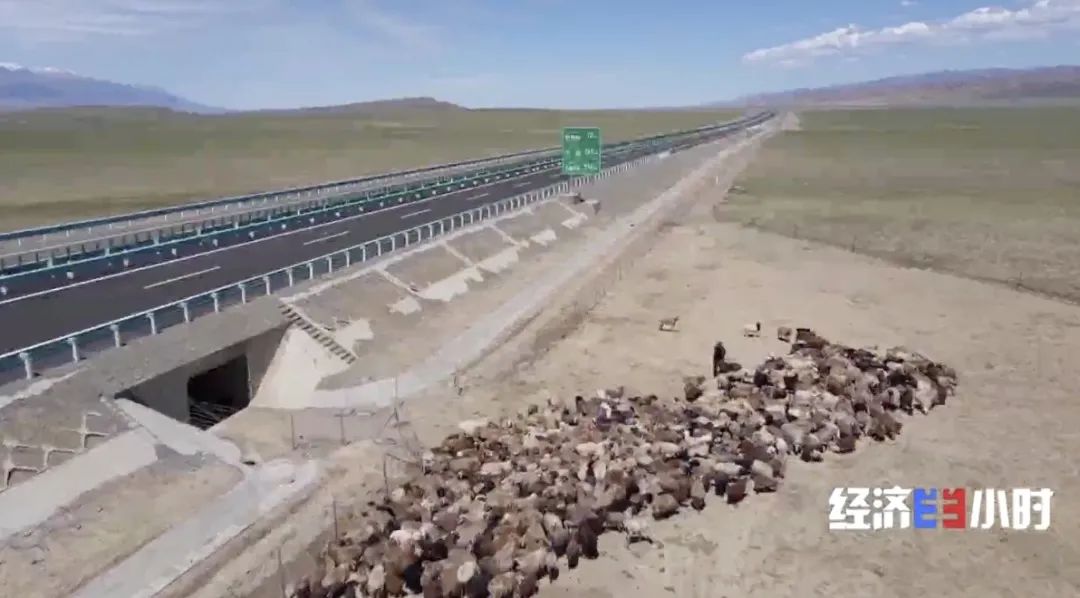 中国经济样本观察·企业样本篇｜勇闯智能眼镜“无人区”——透视杭州灵伴科技的科创之道