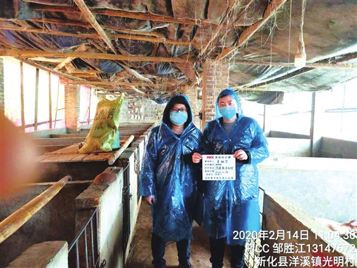 畜牧业信息化行业现状与发展趋势分析_人保服务 ,人保财险 