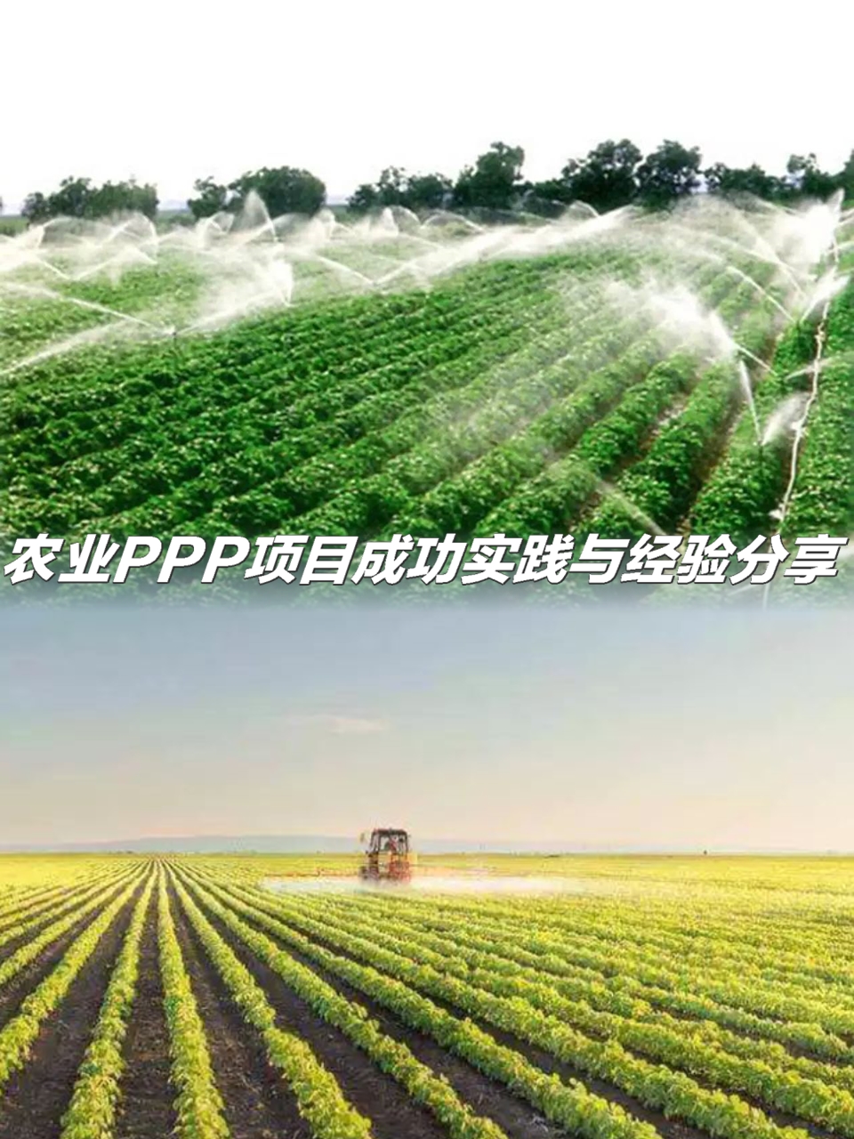 在焕新智变中加快农业农村现代化步伐