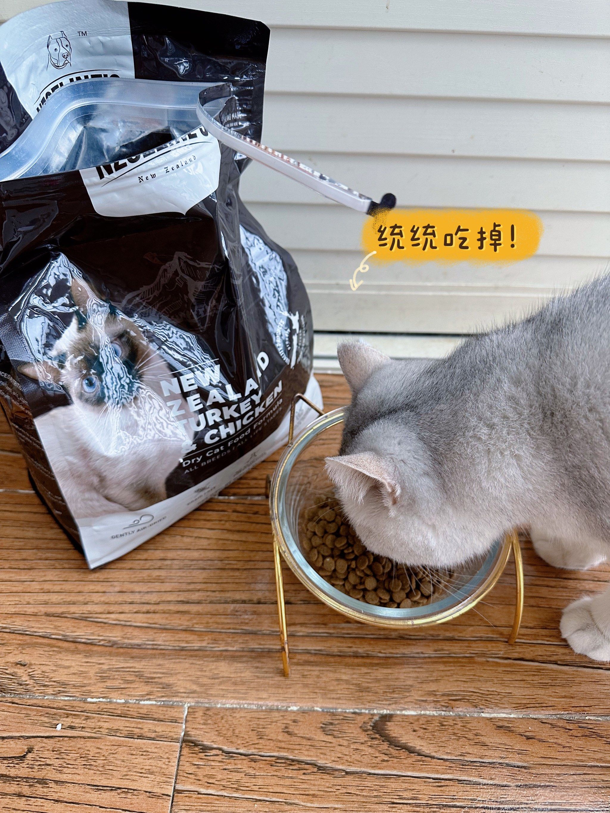 猫粮行业现状与发展趋势分析_人保财险政银保 ,拥有“如意行”驾乘险，出行更顺畅！