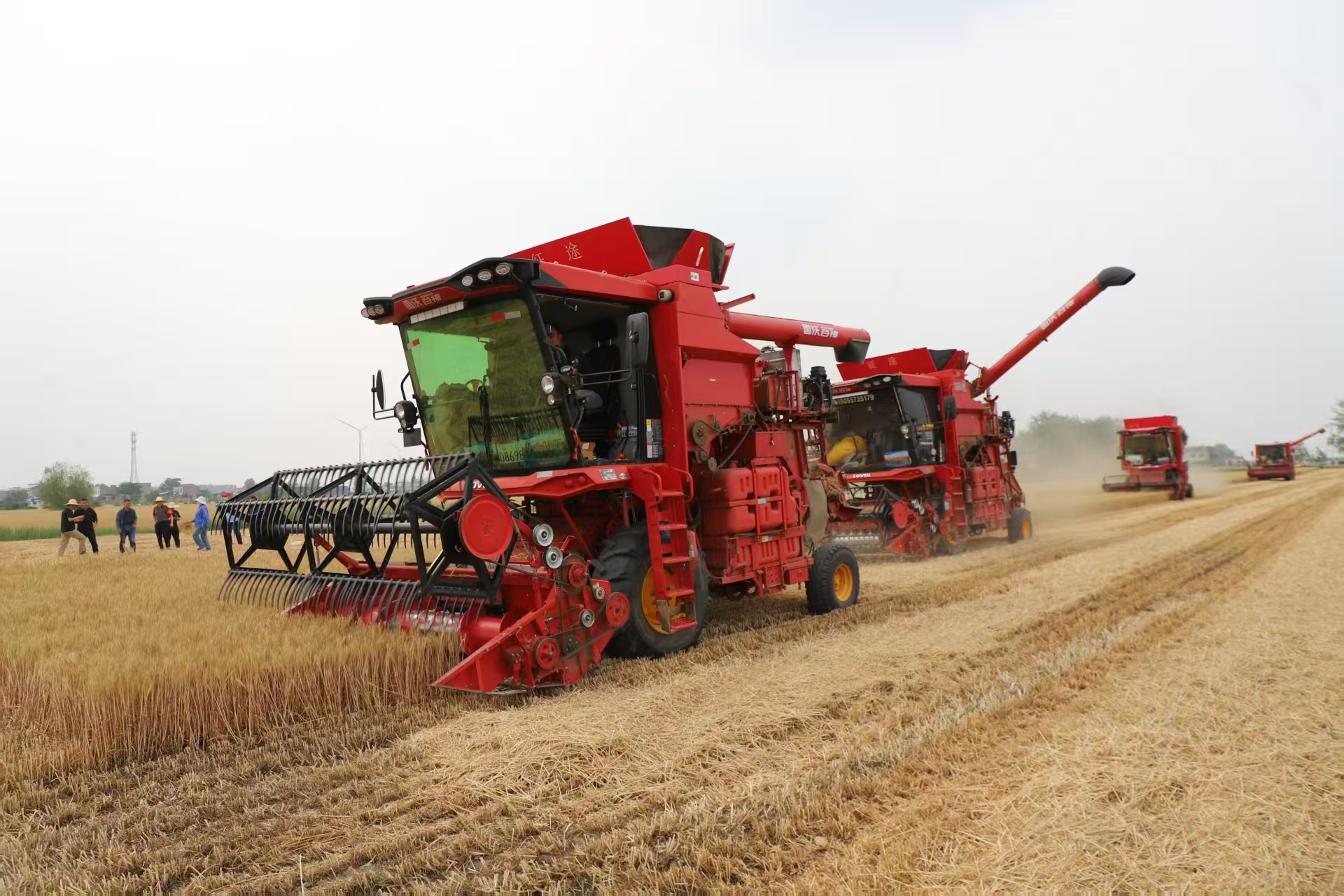 持续阴雨影响秋收进度 农业农村部部署抢收抢烘工作