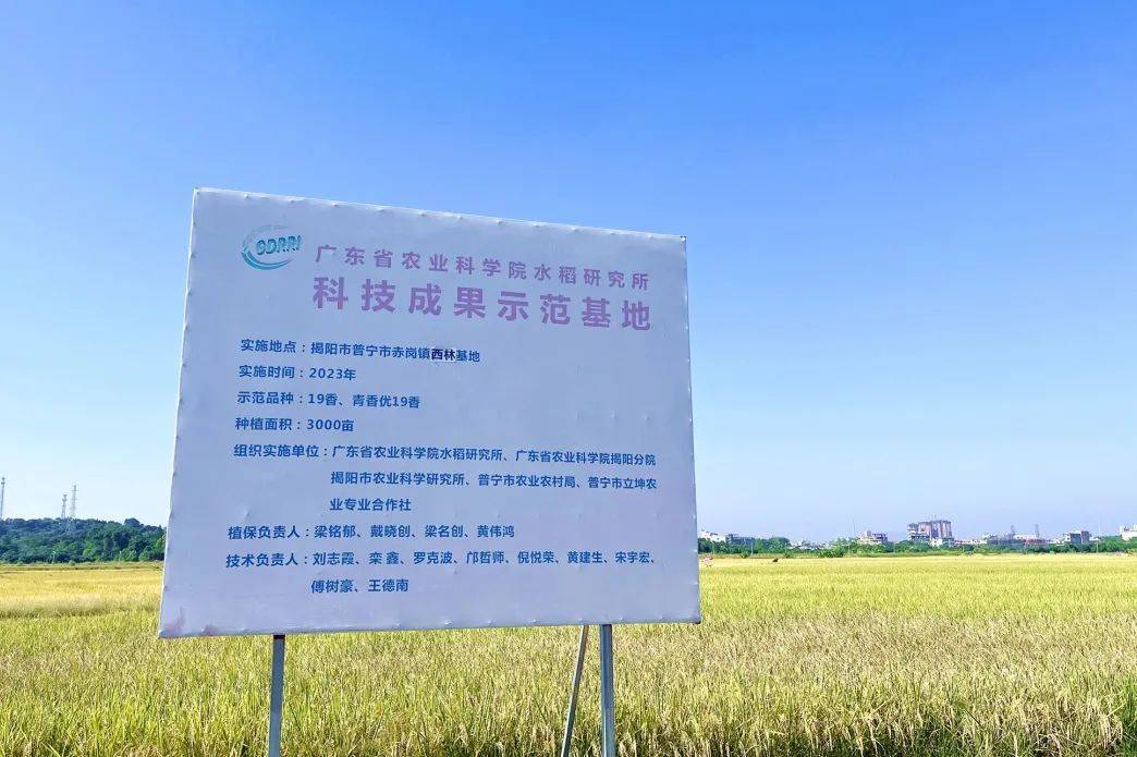 种植规模3年增30倍 广东农垦与一亩田合作第四季10000亩马铃薯数字化示范种植基地开种