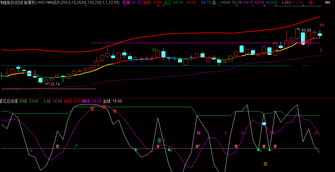 伟隆股份（002871）2025年三季报简析：营收净利润同比双双增长，应收账款上升