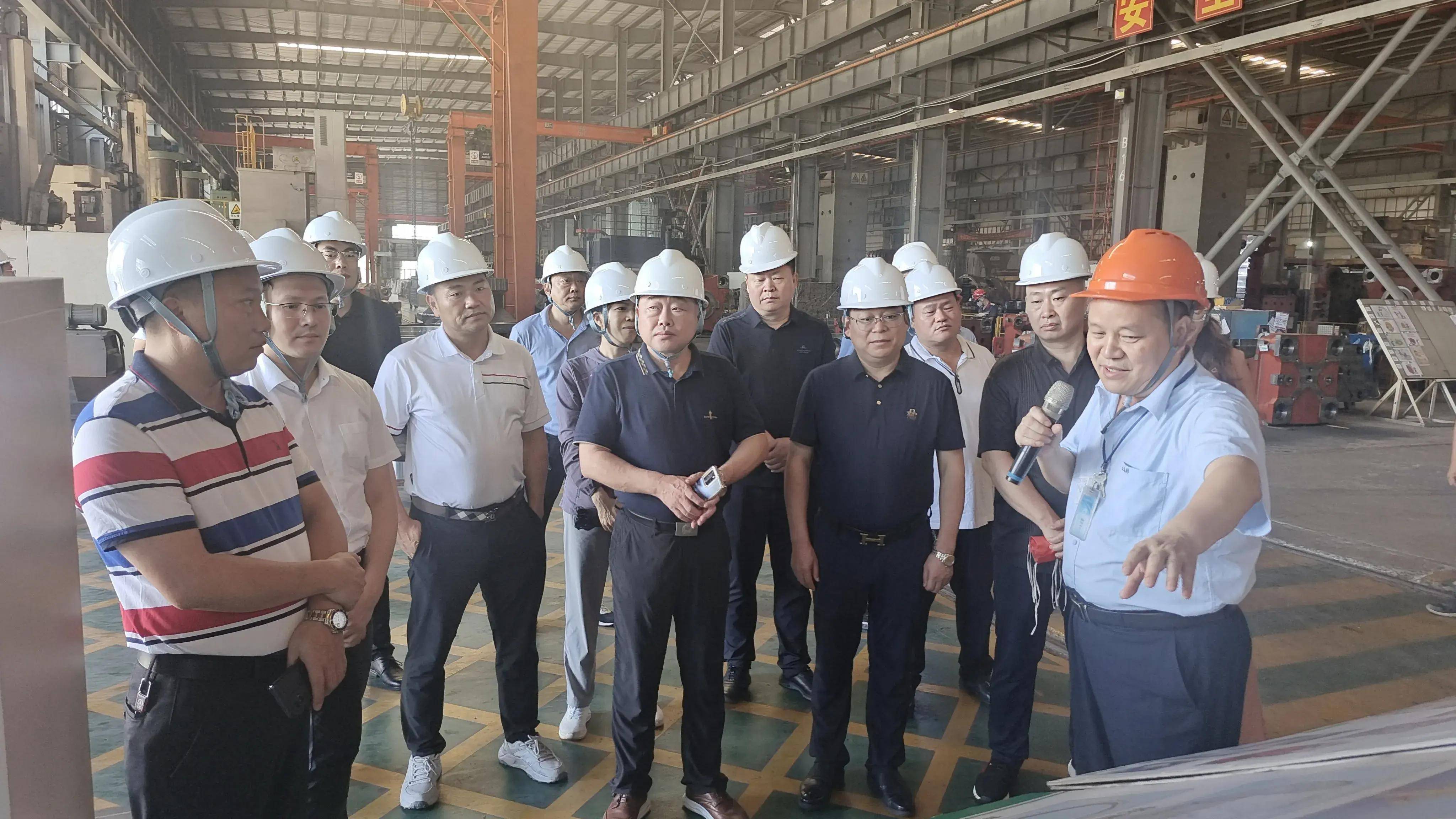 蓝佛安：鼓励吸引民间资本参与重大项目建设，推动扩大有效投资