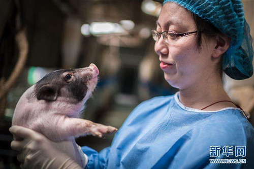 新华社邀你为“太空小鼠”取名啦！