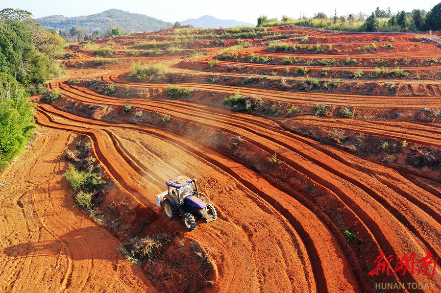江西上饶：推进油菜冬种 打造产业增收田