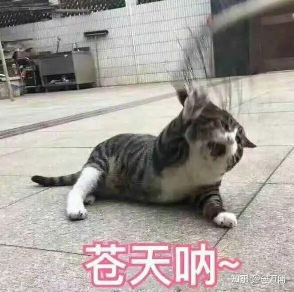 光明地产董事会换届延迟 不影响公司运营