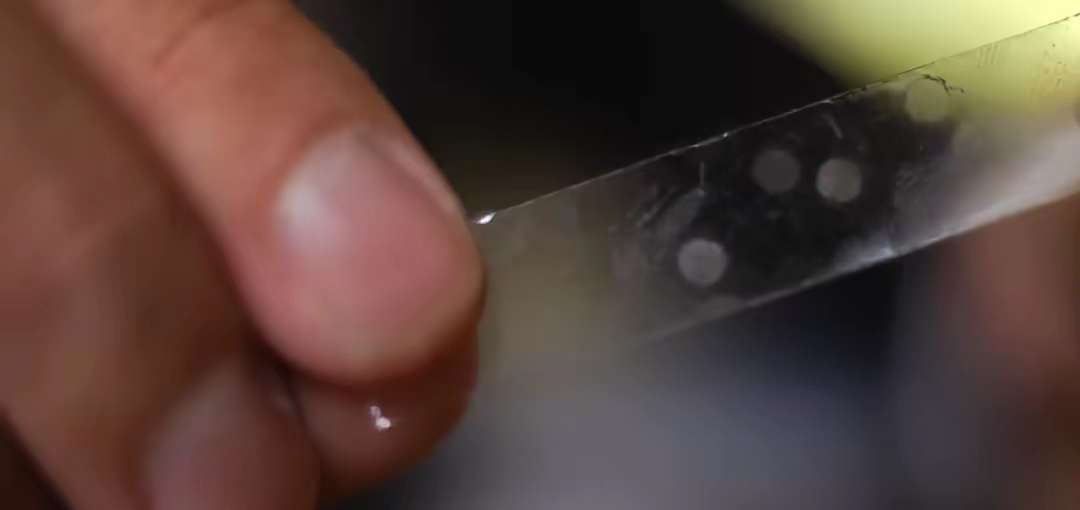 2025-2030年尼龙膜产业：从“食品包装”到“固态电池”，材料之王的跨界增长图谱_人保服务 ,人保财险政银保 