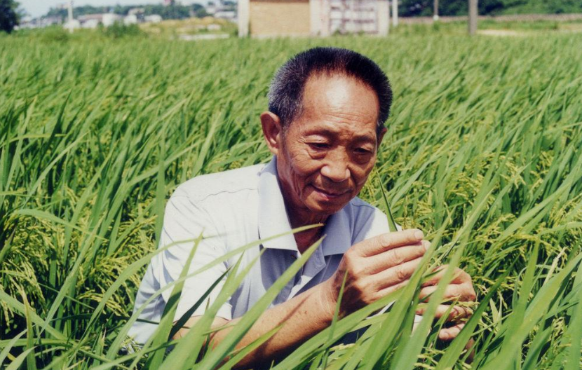 陈华、王莉调研i茅台配套物流保障情况