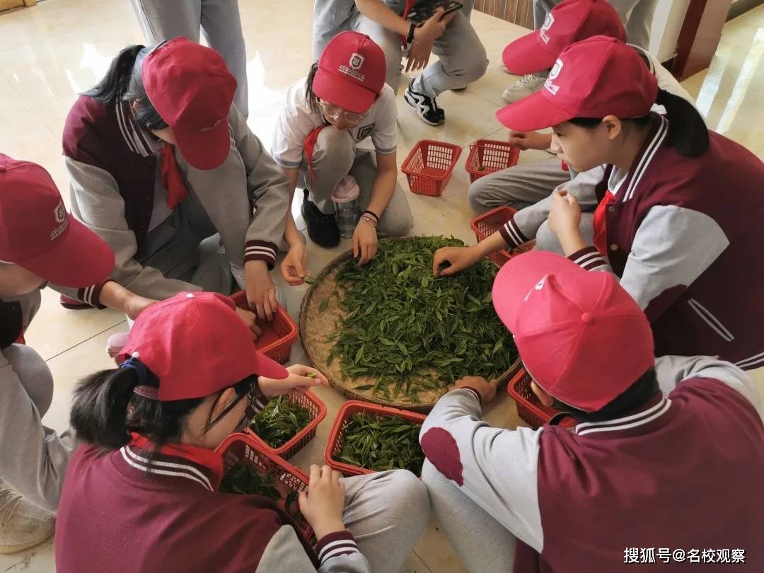 田间成果竞芬芳 青春聚力兴三农,“拼多多杯”第三届科技小院大赛总决赛落幕