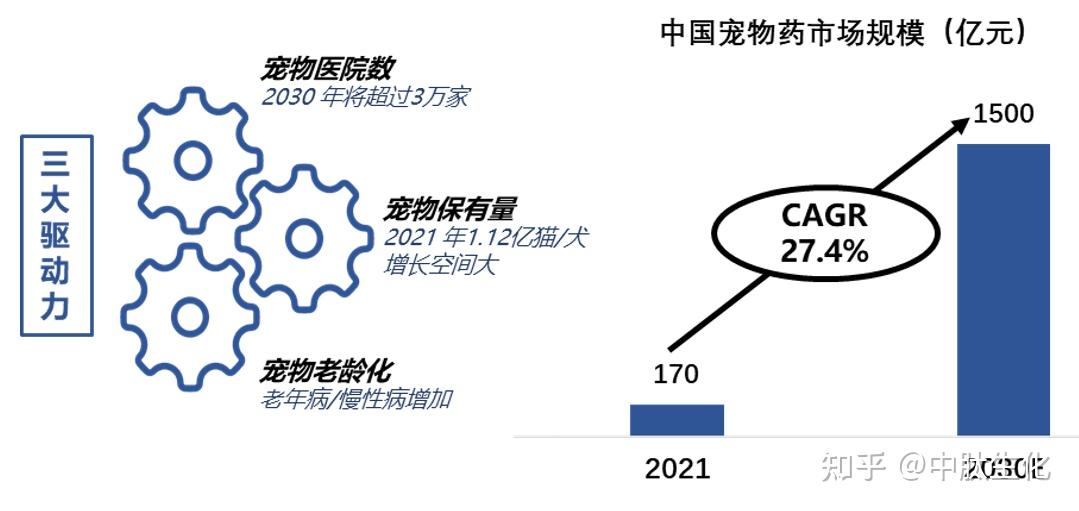 康辰药业2025年业绩暴增 净利润预计增长243.00%~315.00%