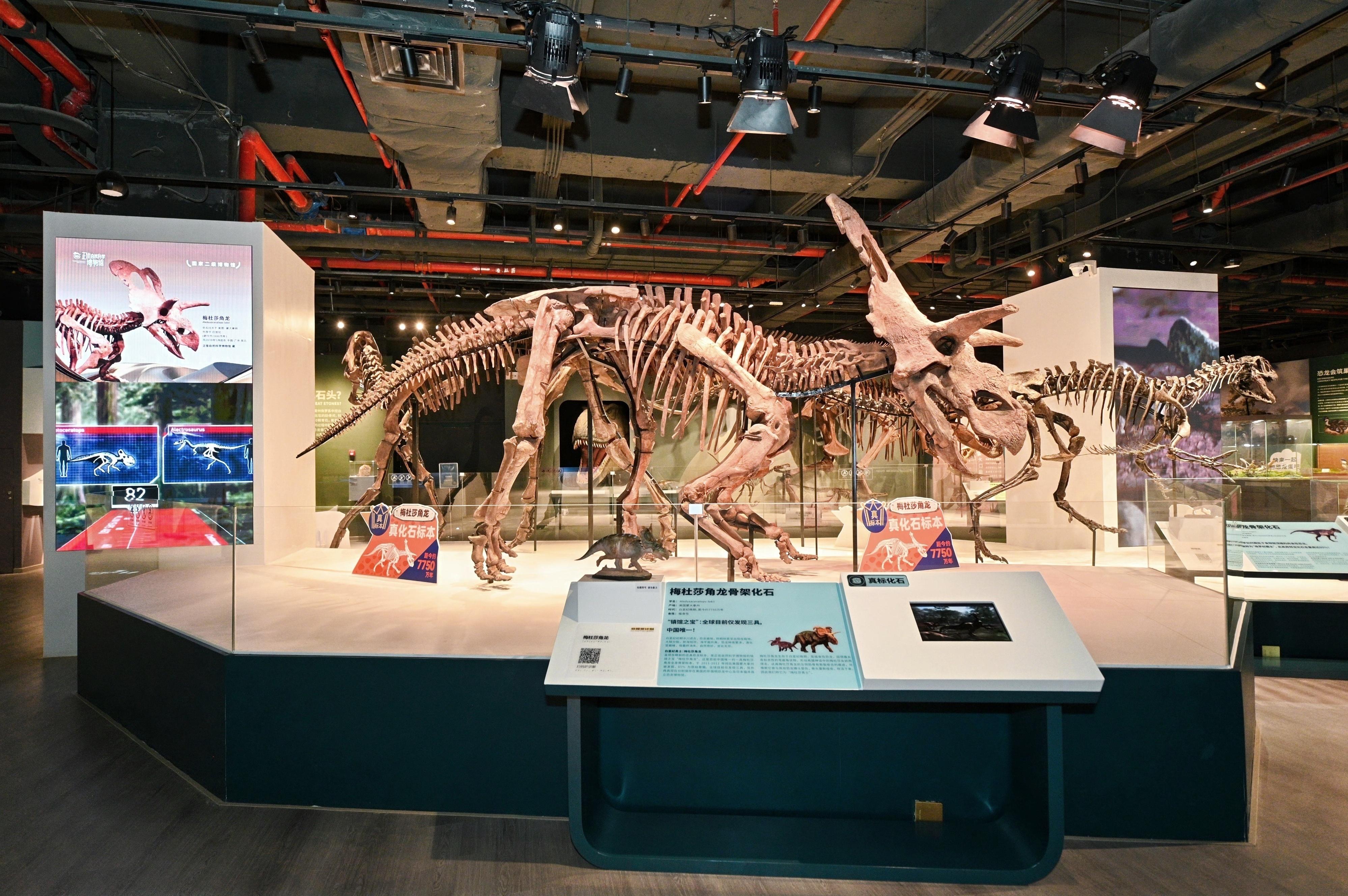 新发现证实角龙类恐龙曾生活在白垩纪晚期的欧洲