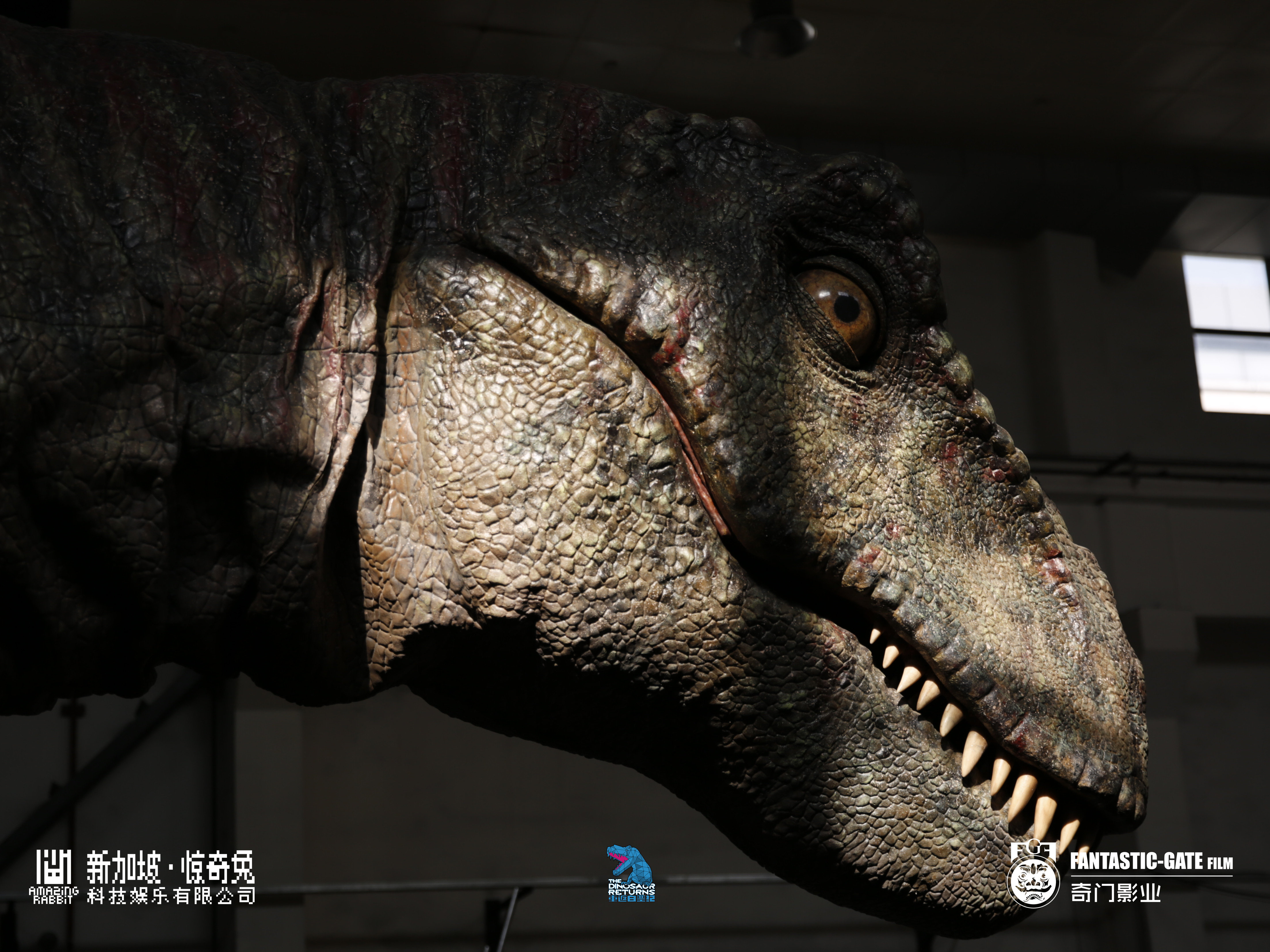 新发现证实角龙类恐龙曾生活在白垩纪晚期的欧洲