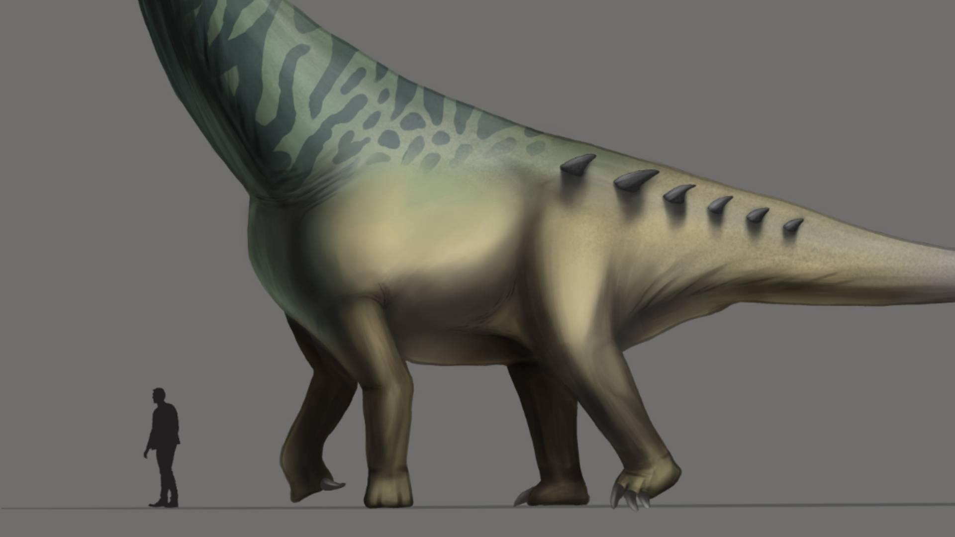 新发现证实角龙类恐龙曾生活在白垩纪晚期的欧洲