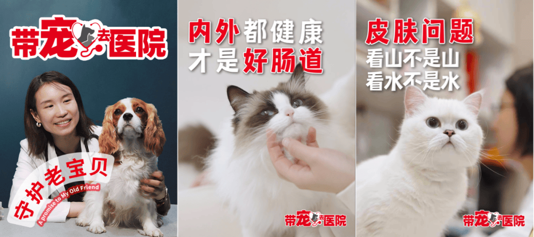 瑞普生物：深化与瑞派宠物战略合作