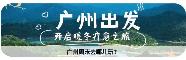 敷尔佳:截至2026年1月9日股东户数为16,247户