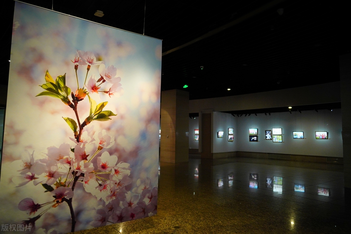 京城冬季看展新地标，地心瑰宝・人间华彩展启幕