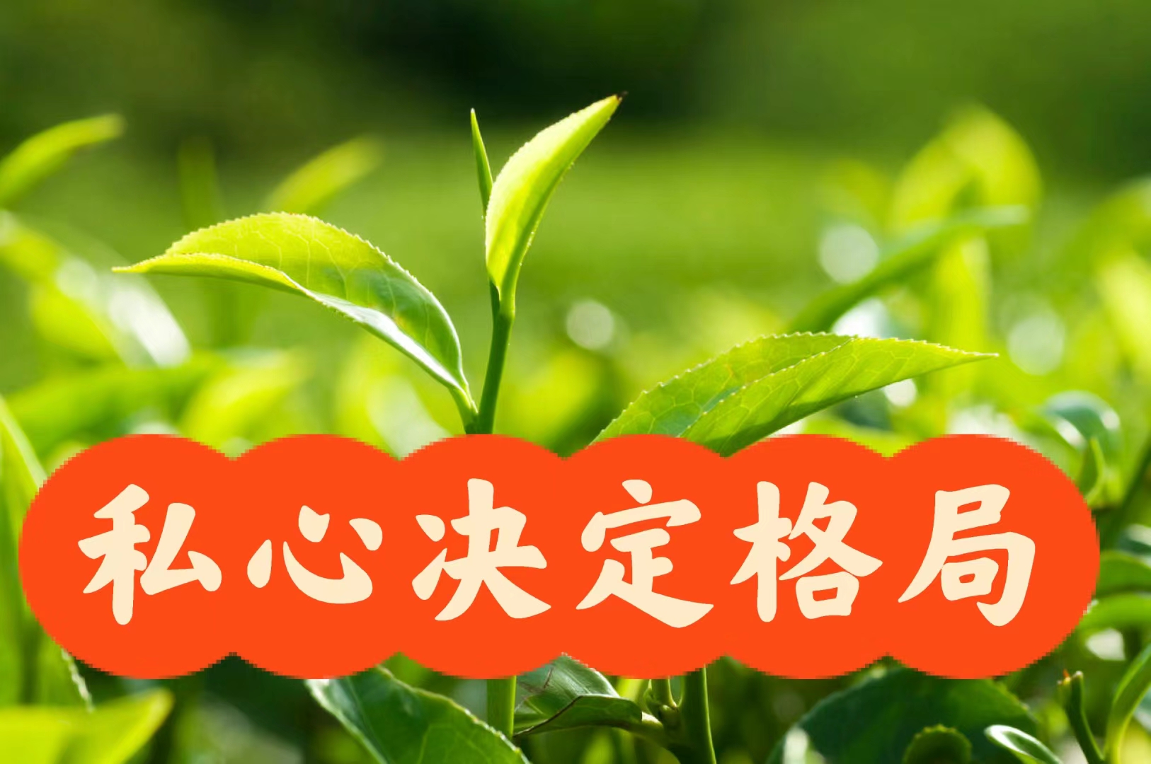 环保行业深度调整，清研环境以“共创思路”破局