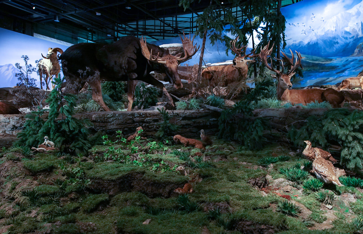 生命:为了准备死亡而继续活下去