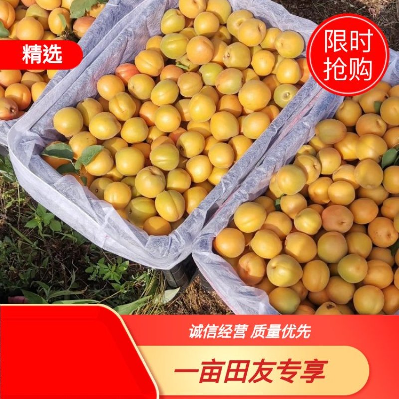 金太阳龙虎榜数据（1月16日）