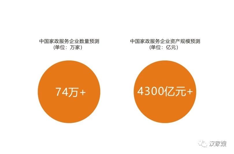 人保服务,人保护你周全_2026中国家政服务行业市场调研与发展前景