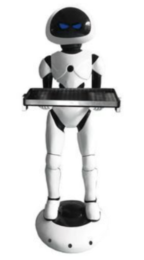 “巧手机器人”实现双面抓握与自主爬行