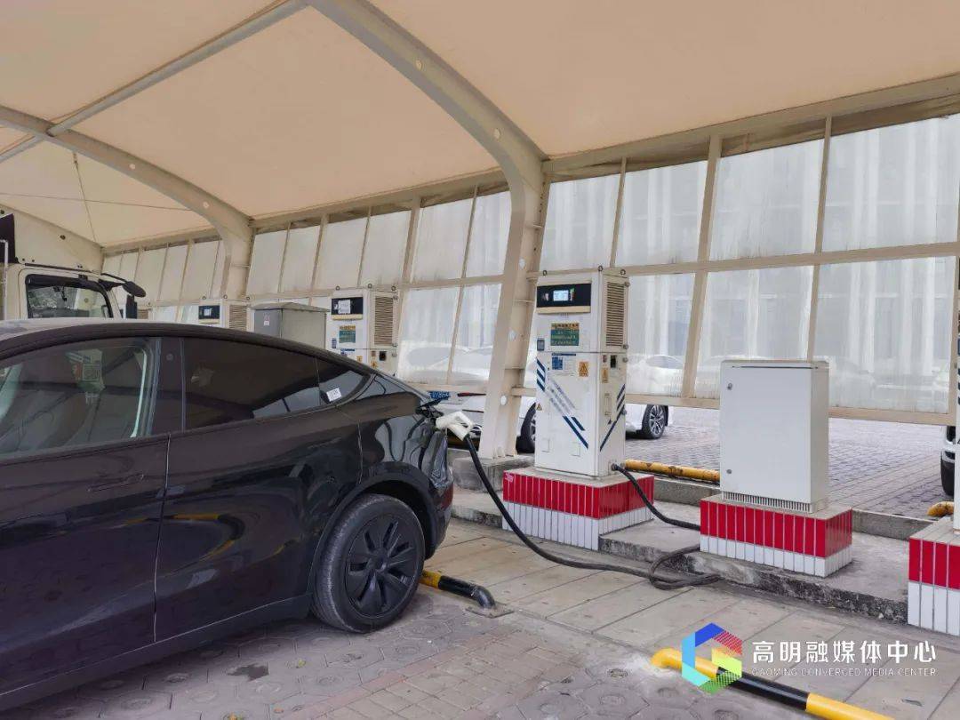 百洋股份:暂无满足申请条件的奖补
