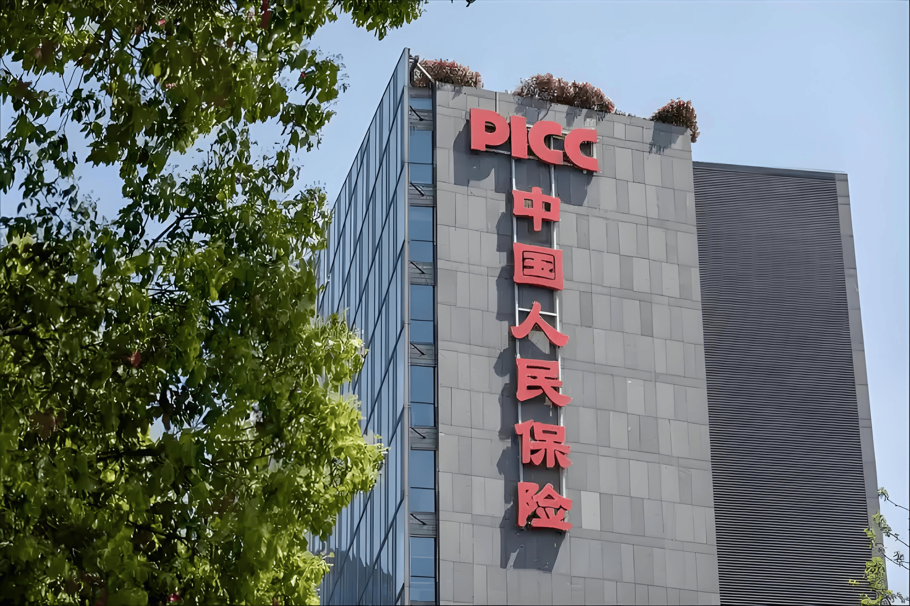 人保服务 ,人保有温度_2026正畸托槽行业市场供需格局及未来发展趋势分析