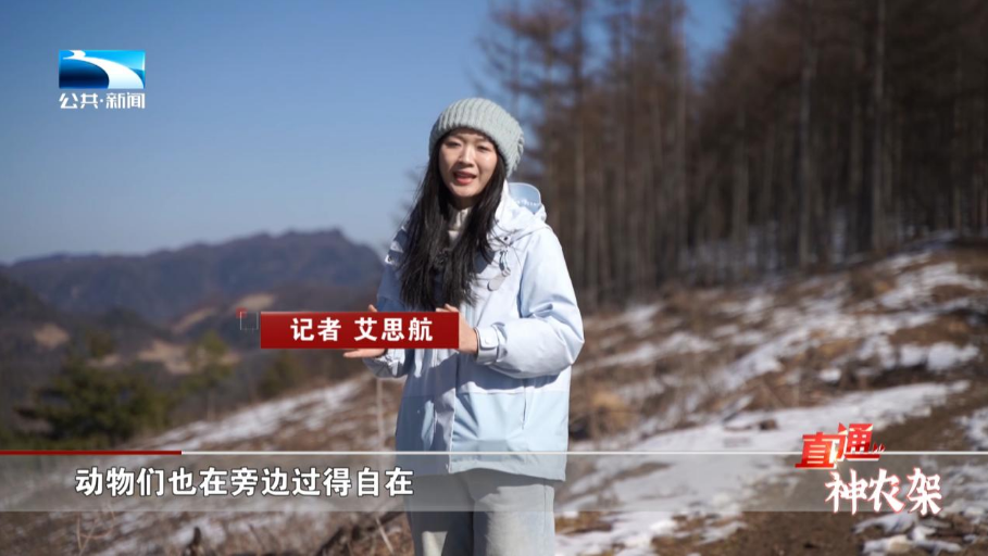 资源品何以成为资产“锋利之矛”？