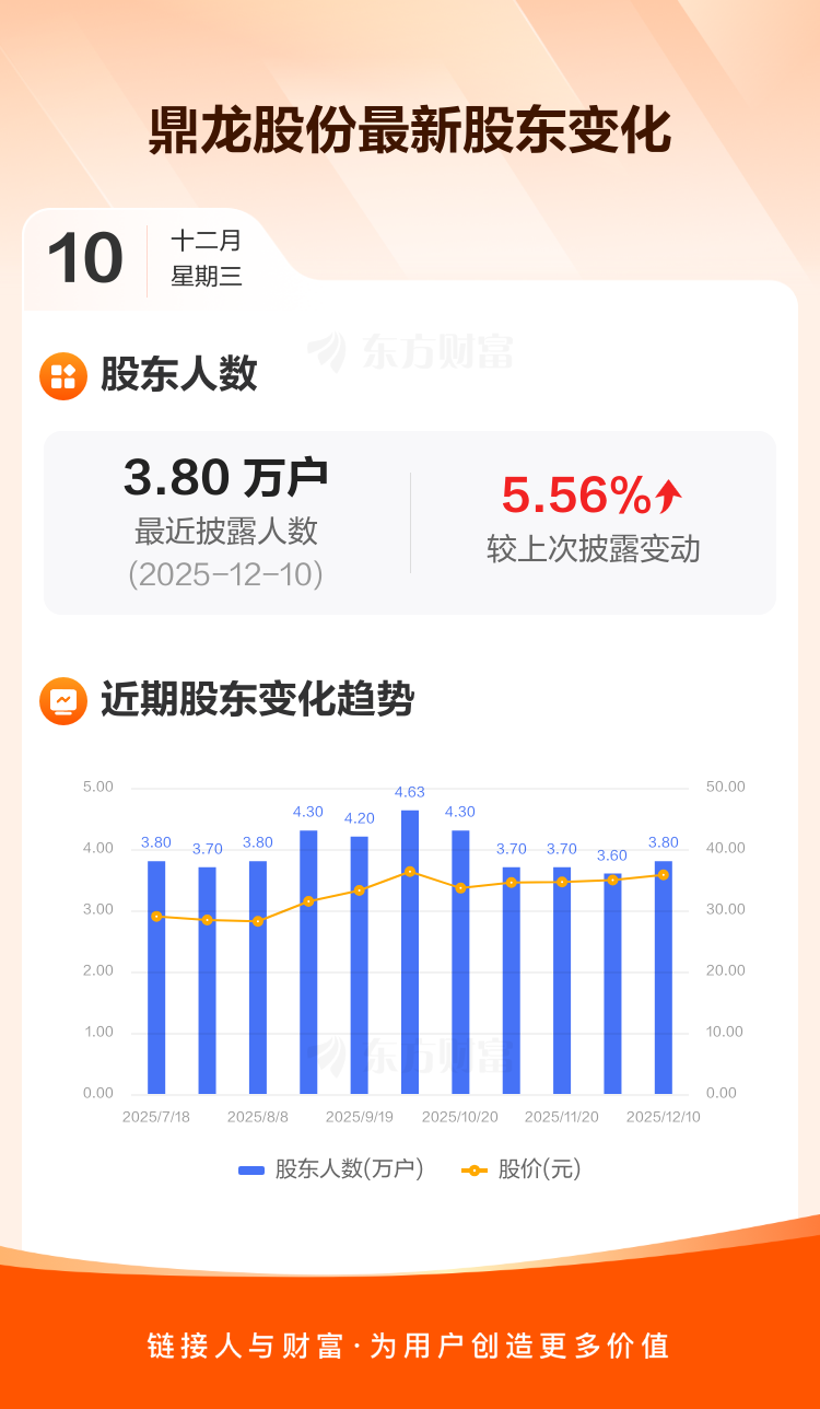 加速创新材料业务海外市场拓展 鼎龙股份拟发行H股赴港上市